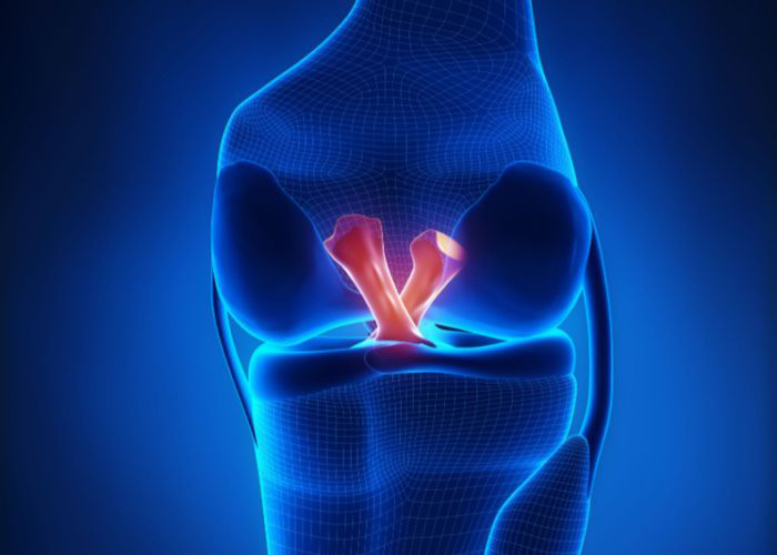 ACL and PCL Ligaments | Houston TX